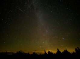 Perseid Meteor Shower